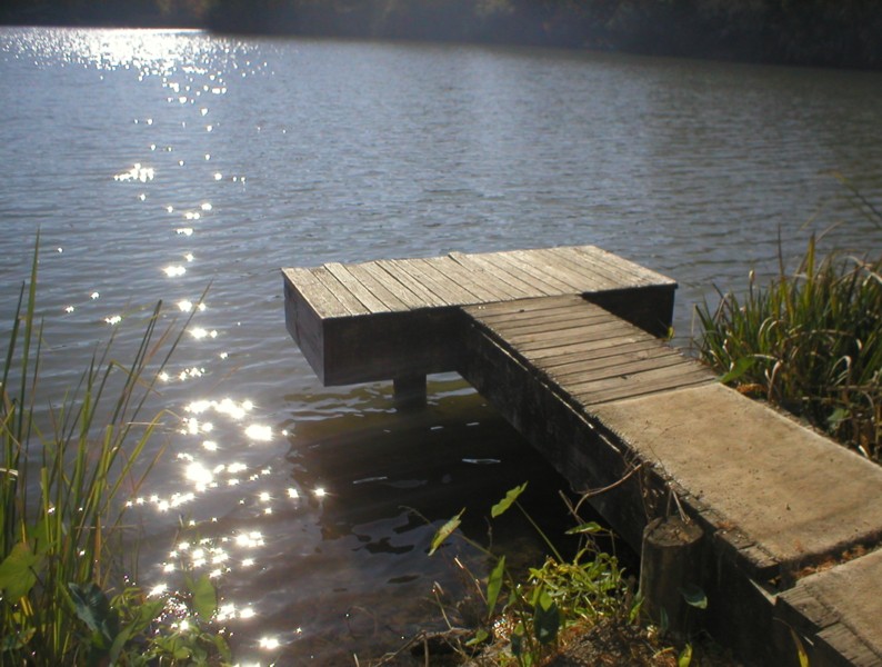 dock in sun.JPG